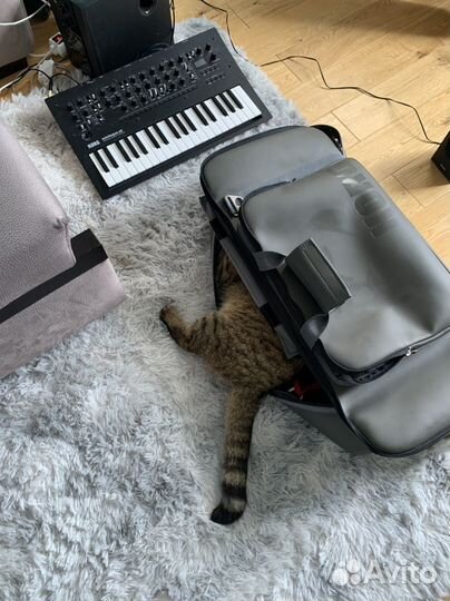 Аналоговый синтезатор korg minilogue XD