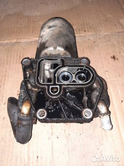 Радиатор масляный Opel Vectra C 2004