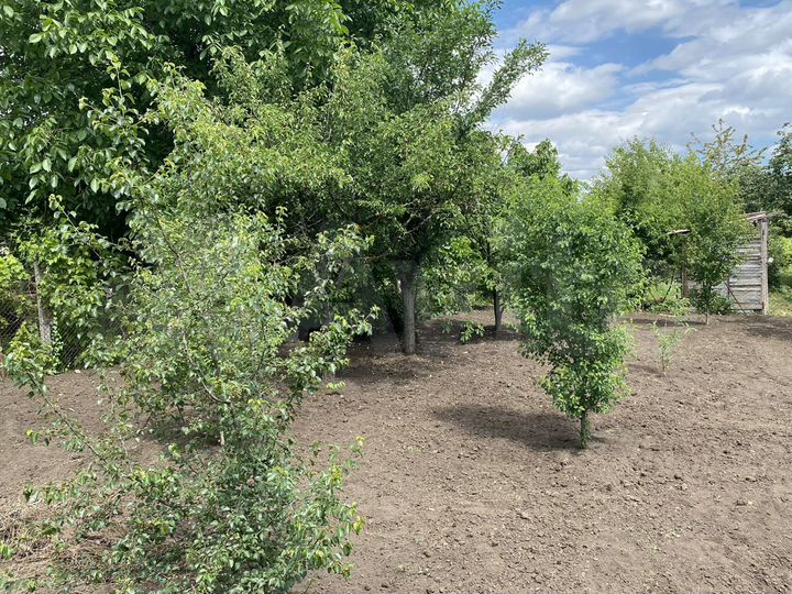 Участок 5 сот. (СНТ, ДНП)