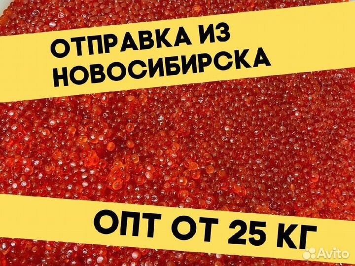 Икра нерки красная, улов 2023