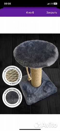 Когтеточка для котят