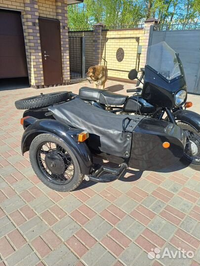 Днепр с документами