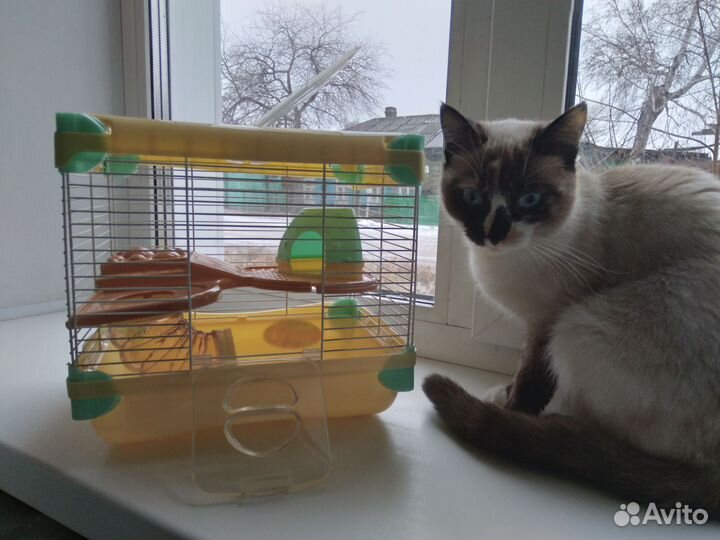 Клетка для грызунов