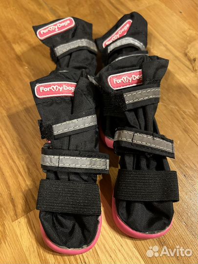 Ботинки для маленьких собак