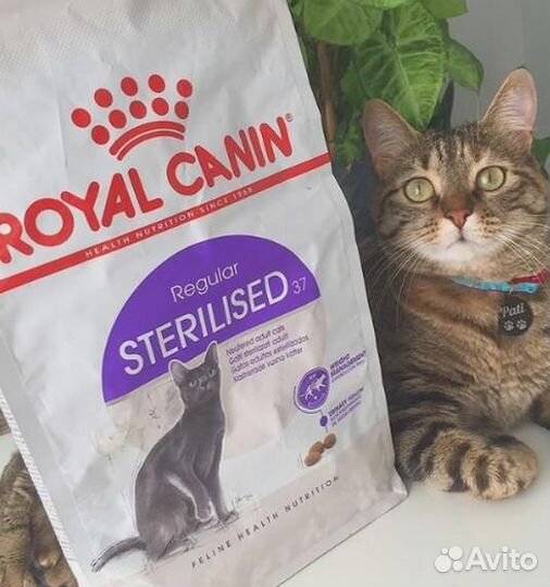 Kорм для кошек royal canin Kорм для кошек Royal Ca