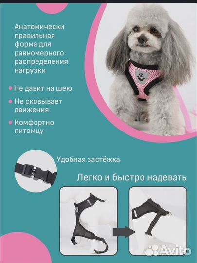 Шлейка для маленькой собаки