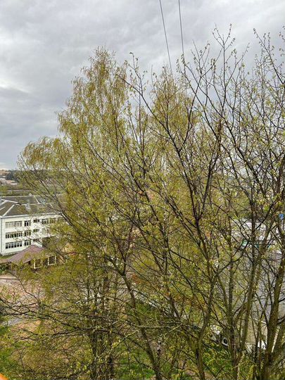 1-к. квартира, 37,5 м², 5/5 эт.