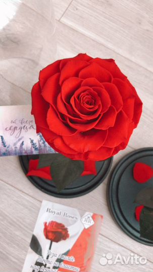 Роза в колбе