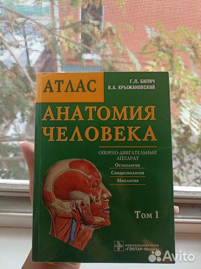 Атлас по анатомии