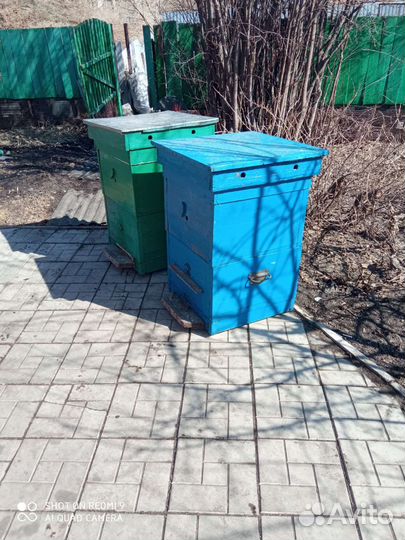 Продам ульи для пчел