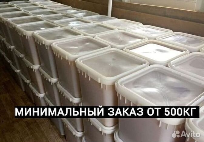 Оптом Мед с Алтая