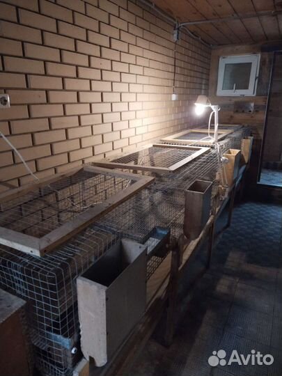 Клетка для кролика, домашней птицы