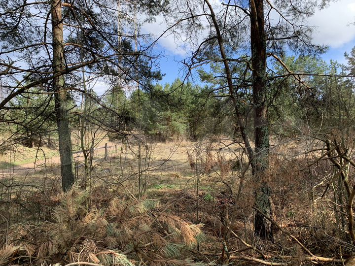 Участок 18,6 сот. (ИЖС)