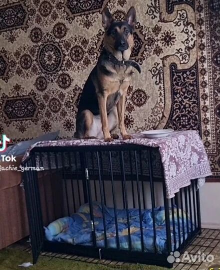 Клетка для собак (Сделано в России)