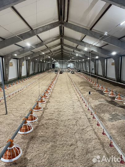 Оборудование для птицыфабрик