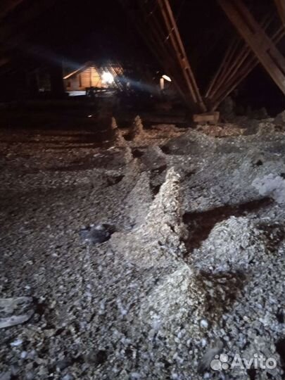 Голубиный помет. Самовывоз