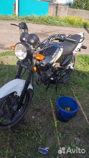 Racer RC150-23 Tiger