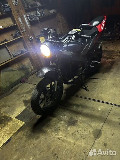 Irbis gr 250