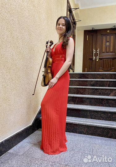 Скрипка на праздник, свадьбу