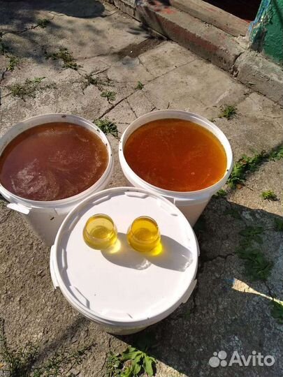 Мед ведро 15кг с доставкой по Махачкале