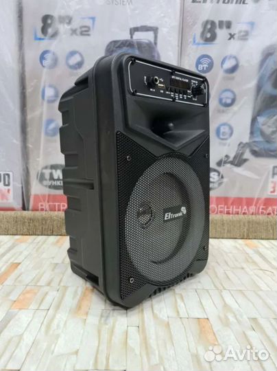 Портативная колонка Eltronic караоке FM радио