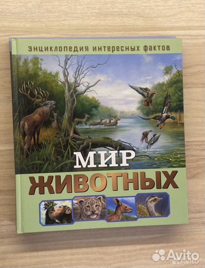 Энциклопедия интересных фактов