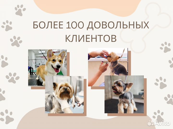 Груминг стрижка собак и кошек