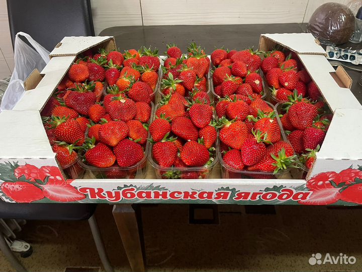 Клубника свежая оптом