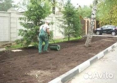 Укладка газона