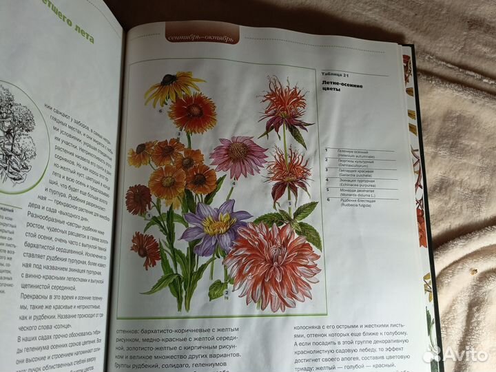 Книга Как украсить сад