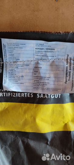 Семена озимого рапса Мерседес