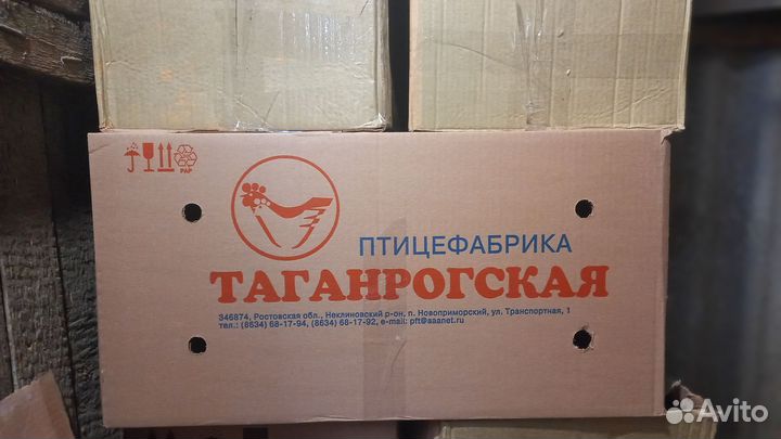 Коробки из под яиц