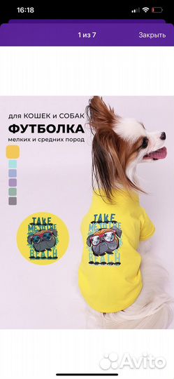 Одежда для собак мелких пород