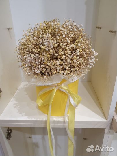 Букет из гипсофилы в коробке