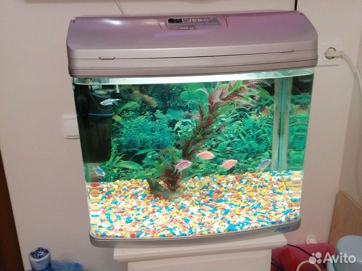 Аквариум