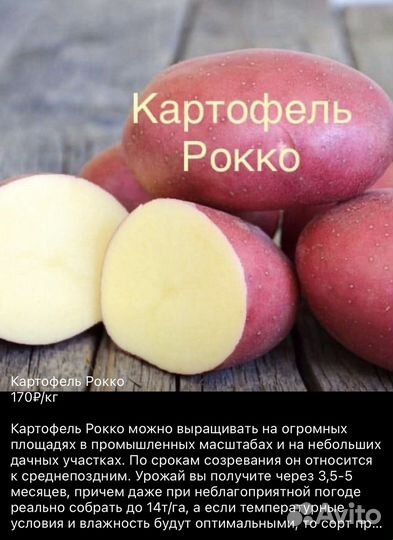 Семенной картофель