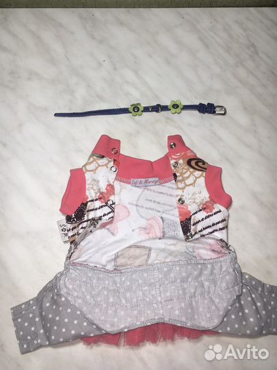 Одежда для маленьких собачек