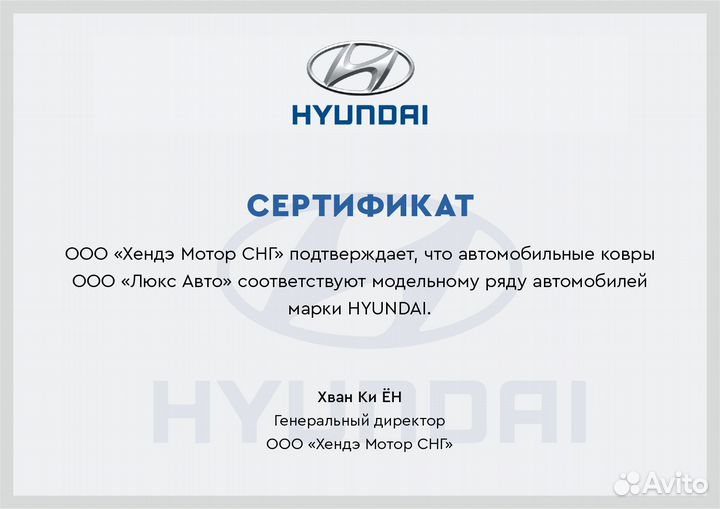 3D Коврики Hyundai из Экокожи