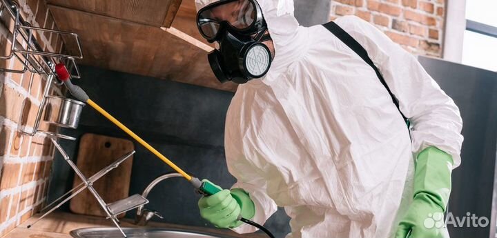 Дезинсекция дератизация