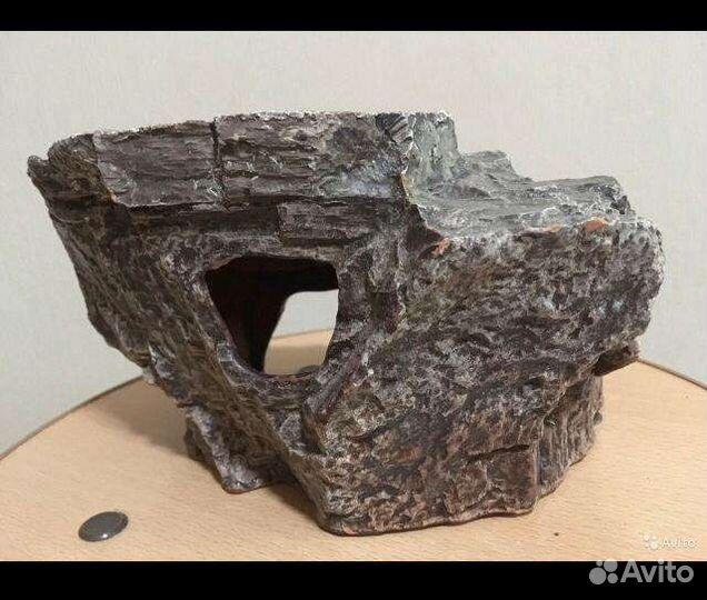 Деклрации в аквариум