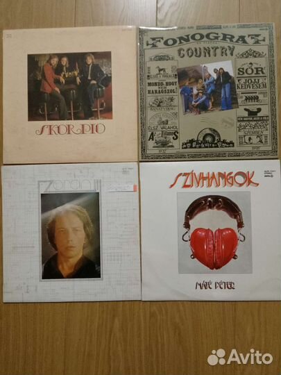 Pepita Favorit. Венгерия. Hungarya