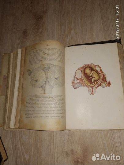 Оперативная Гинекология 1928