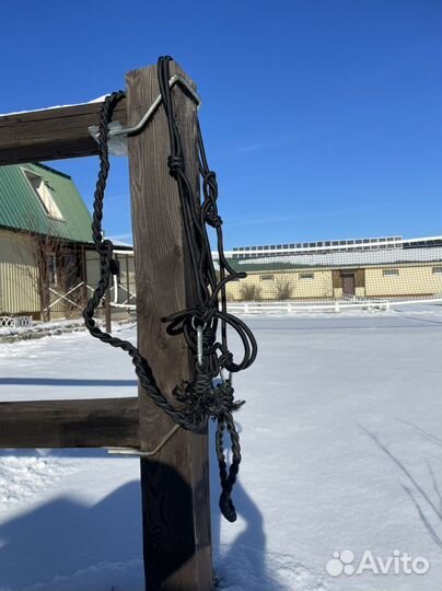 Амуниция для лошади: выездковые ногавки, вальтрапы