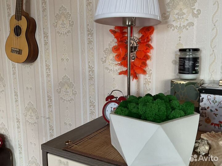 Кашпо настольное мох стабилизированный