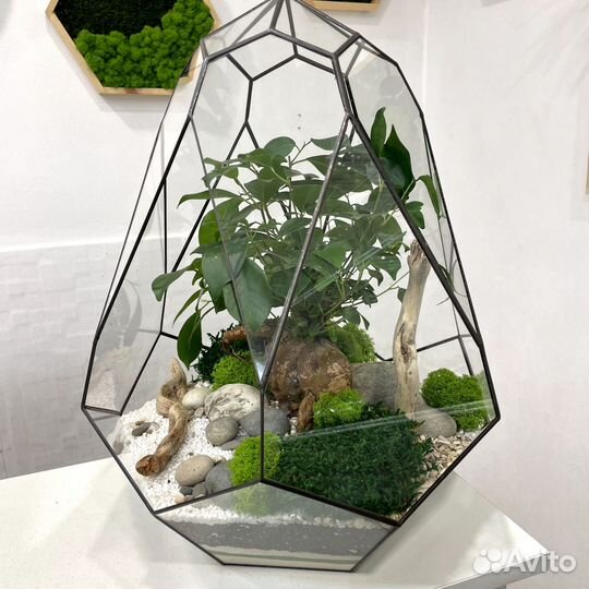 Флорариум 
