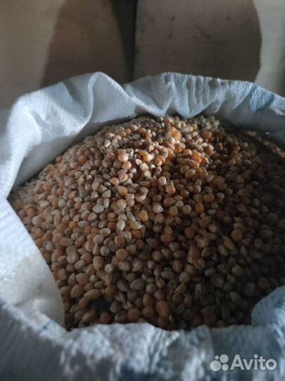 Корма для животных и птиц