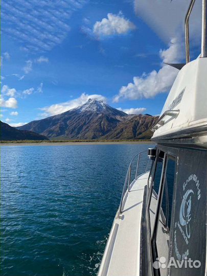 Морские прогулки на катере