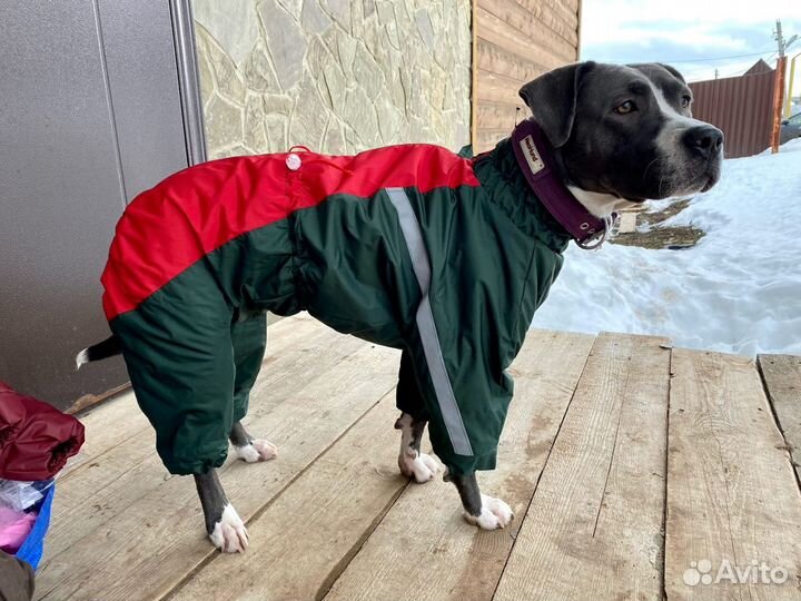 Дождевики/ грязевики, пыльники для собак