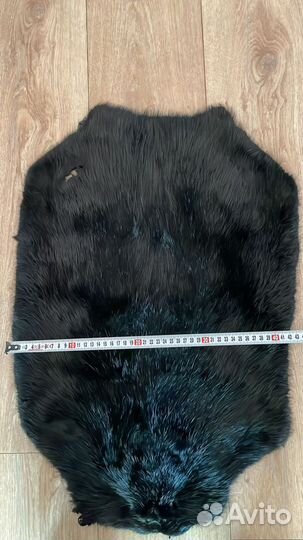 Шкуры бобров