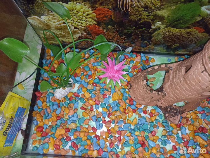 Аквариум 65 литров